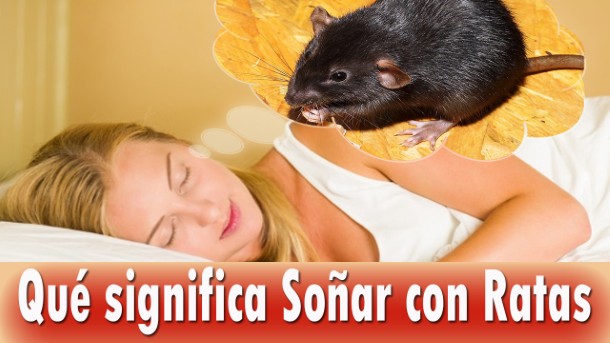 Que significa soñar con Ratas - Horoscopo24